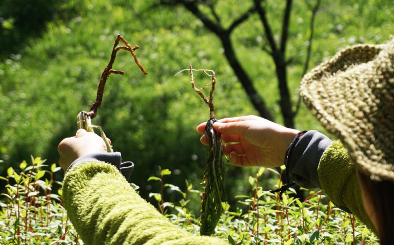 谷歌翻译准确率