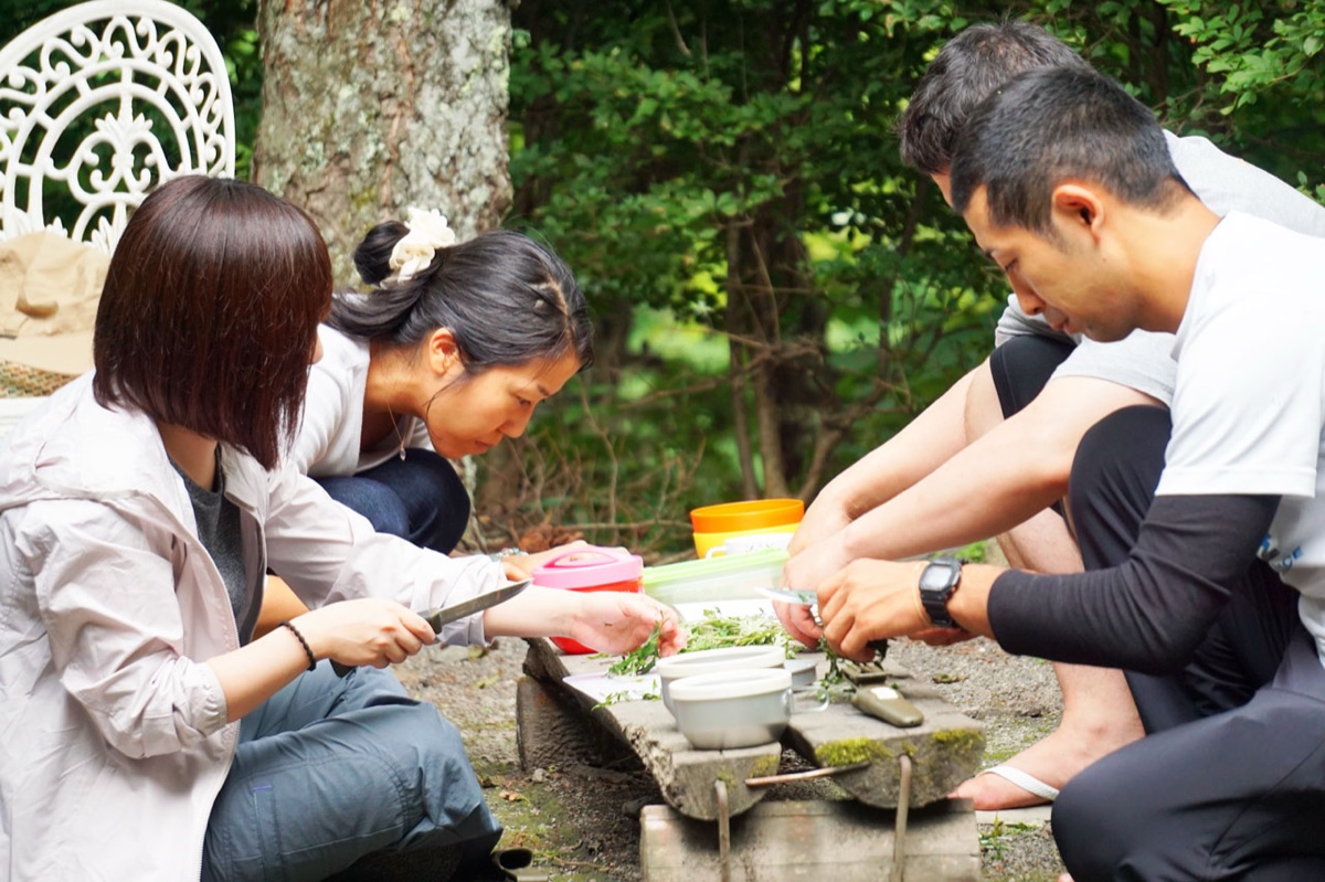 屋外で野草を調理する