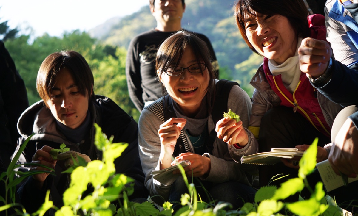野草をすりつぶす